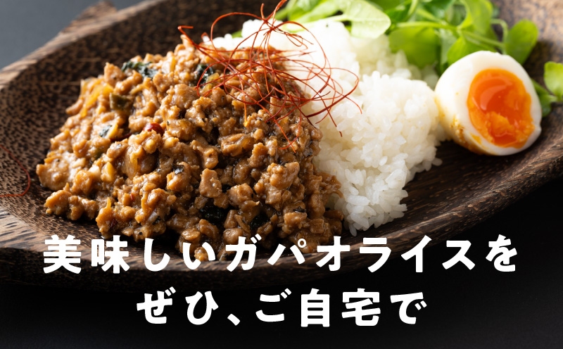 焼肉専門店が作る ガパオ 2パック 温めるだけ 総菜 簡単調理 冷凍発送 099H2739