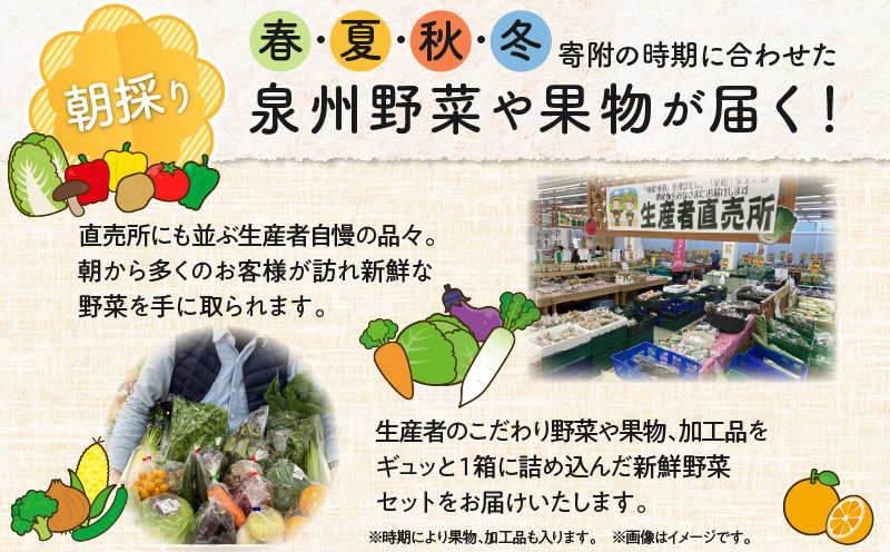 10種類の新鮮野菜 定期便 全4回 詰め合わせ 国産 冷蔵発送【毎月配送コース】 099Z185