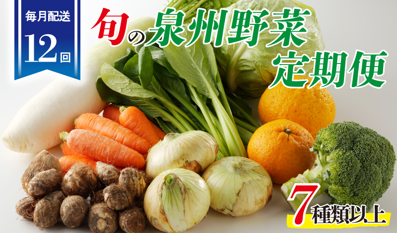 泉州野菜 定期便 全12回 7種類以上 詰め合わせ 国産 新鮮 冷蔵【毎月配送コース】 099Z188