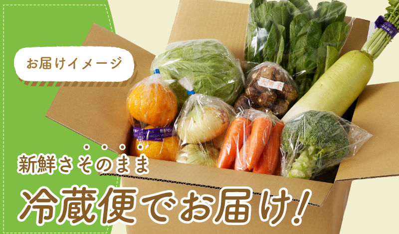泉州野菜 定期便 全12回 7種類以上 詰め合わせ 国産 新鮮 冷蔵【毎月配送コース】 099Z188