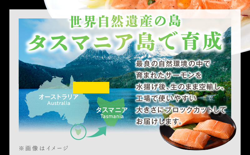 タスマニアサーモン 1kg【アトランティクサーモン 真空パック 小分け ブロック 訳あり サイズ不揃い 上質 刺身 海鮮丼 サラダ 冷凍 物価高応援】