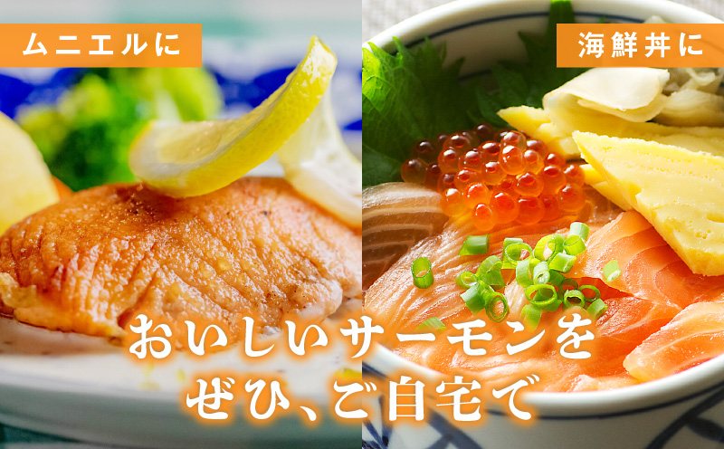 タスマニアサーモン 2kg【アトランティクサーモン 真空パック 小分け ブロック 訳あり サイズ不揃い 上質 刺身 海鮮丼 サラダ 総量 1kg以上 冷凍 物価高応援】