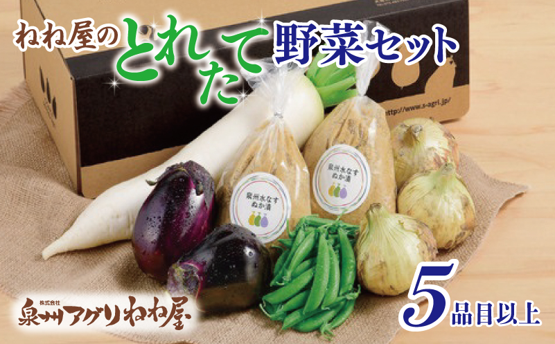 ねね屋のとれたて野菜セット 5品目以上 詰め合わせ 099H2857