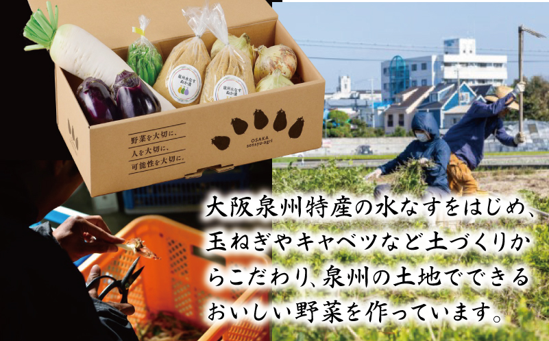 ねね屋のとれたて野菜セット 5品目以上 詰め合わせ