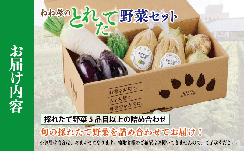 ねね屋のとれたて野菜セット 5品目以上 詰め合わせ