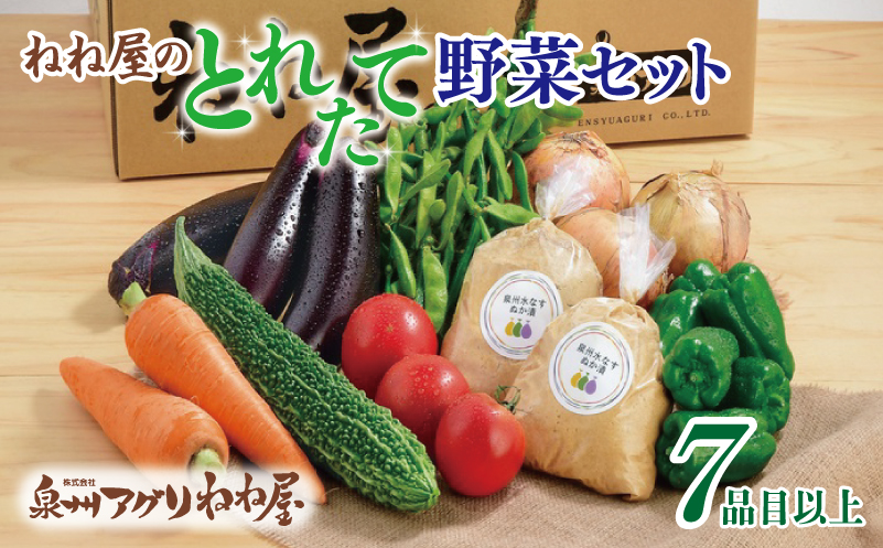 ねね屋のとれたて野菜セット 7品目以上 詰め合わせ 099H2858