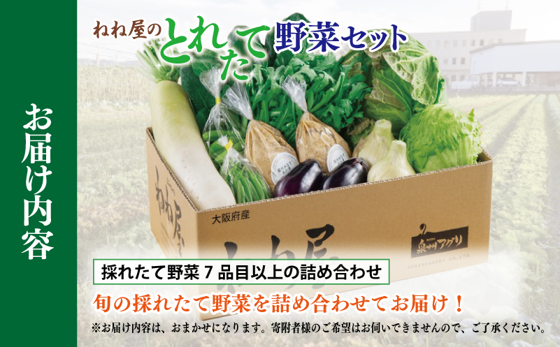 ねね屋のとれたて野菜セット 7品目以上 詰め合わせ 099H2858