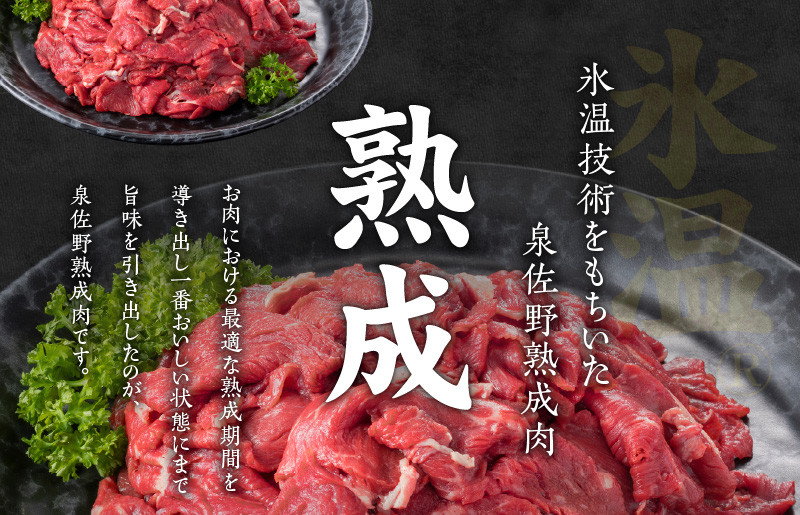 【氷温熟成×極味付け】国産 牛肉 切り落とし 定期便 1.2kg×全6回 総量 7.2kg 丸善味わい加工【毎月配送コース】 099Z215