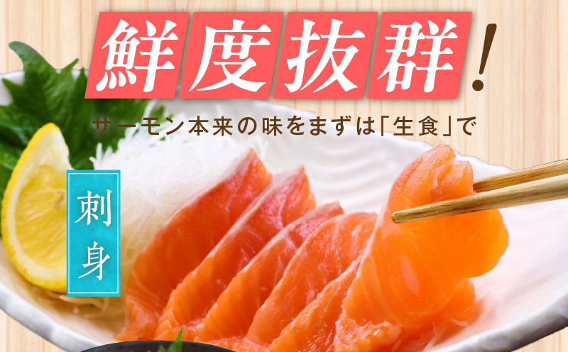 【数量限定】お刺身用 サーモン 1kg ブロック 小分け 約250g×4P ポーション 柵 訳あり サイズ不揃い