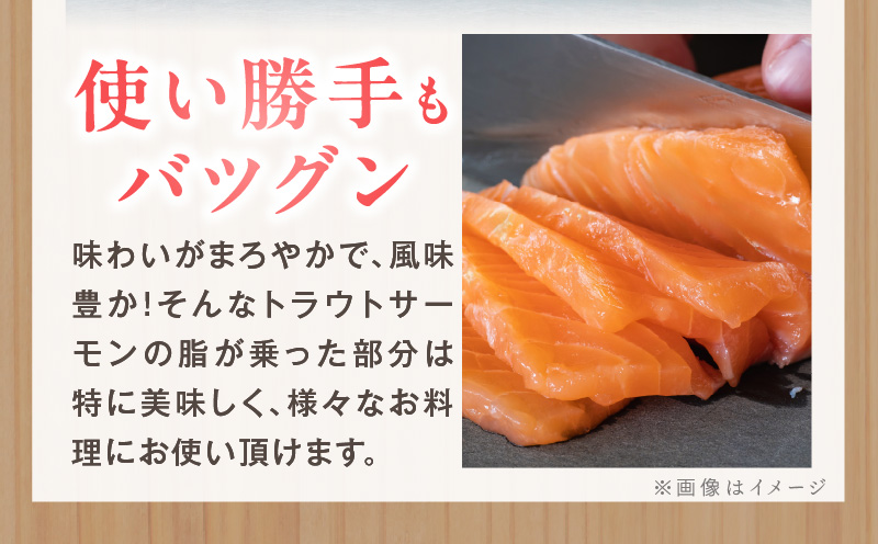 【数量限定】お刺身用 サーモン 1kg ブロック 小分け 約250g×4P ポーション 柵 訳あり サイズ不揃い