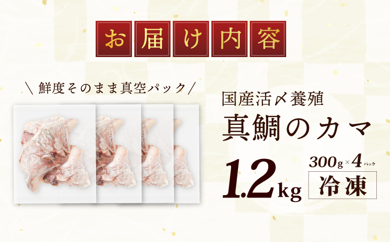 【特別寄附金額】国産 活〆養殖 真鯛のカマ 合計1.2kg（300g×4パック）特別寄附金額 G1112