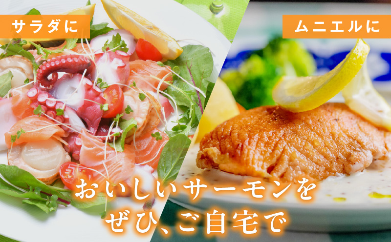 【数量限定】お刺身用 サーモン 1kg ブロック 小分け 約250g×4P ポーション 柵 訳あり サイズ不揃い