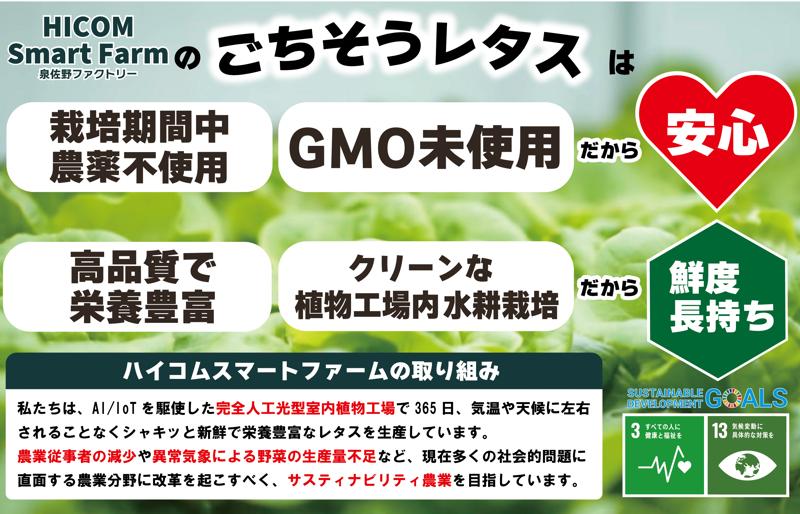 【栽培期間中農薬不使用】フリルレタス／レッドフリルレタス／バタビアレタス 食べ比べセット（8袋入り）