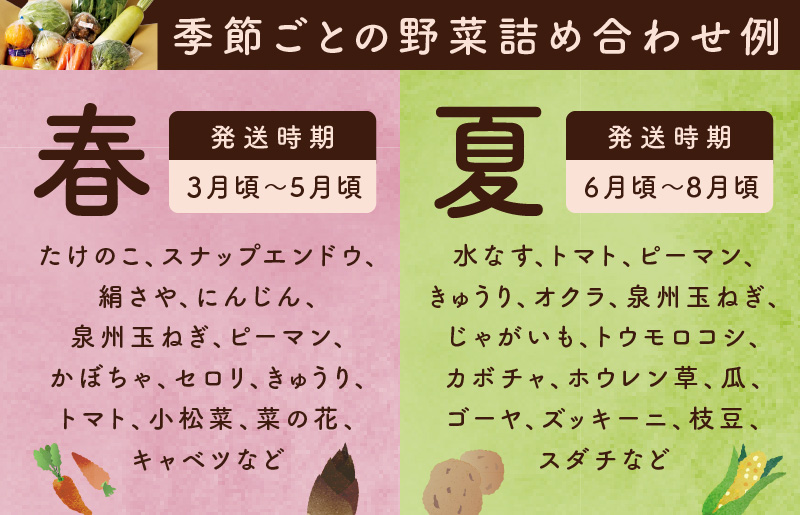 泉州野菜 定期便 全3回 7種類以上 詰め合わせ 国産 新鮮 冷蔵【毎月配送コース】 099Z111