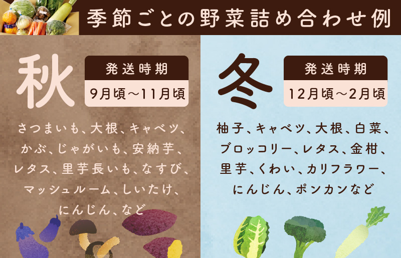 泉州野菜 定期便 全6回 7種類以上 詰め合わせ 国産 新鮮 冷蔵【毎月配送コース】 099Z113