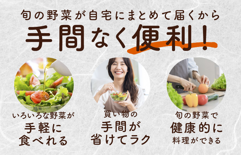 10種類の新鮮野菜 定期便 全3回 詰め合わせ 国産 冷蔵発送【毎月配送コース】 099Z184