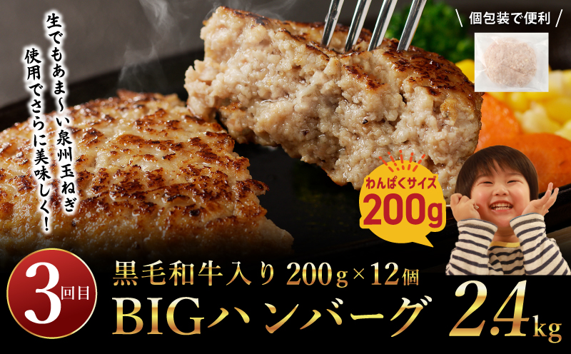 桜文 お楽しみ 定期便 全3回（焼き鳥／牛タン／黒毛和牛入り BIGハンバーグ）【毎月配送コース】 G1060