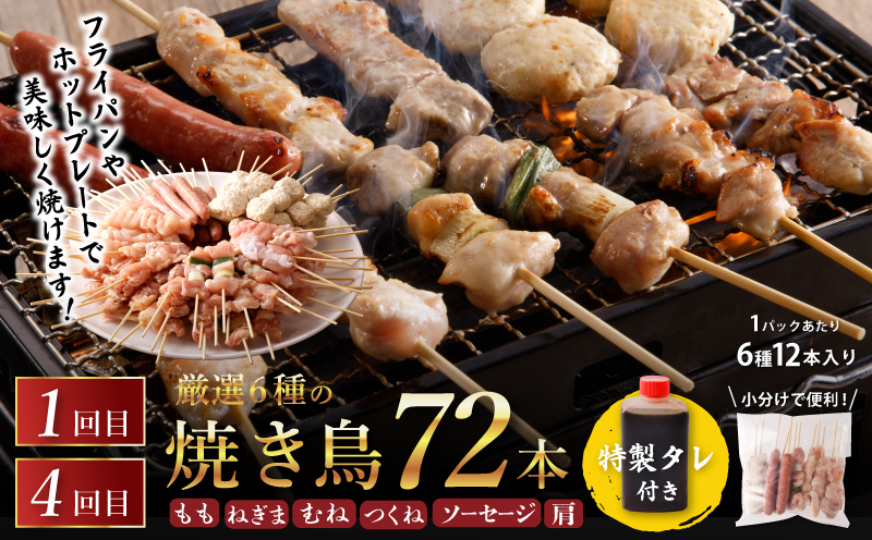 桜文 お楽しみ 定期便 全6回（焼き鳥／牛タン／黒毛和牛入り BIGハンバーグ）【毎月配送コース】 G1061