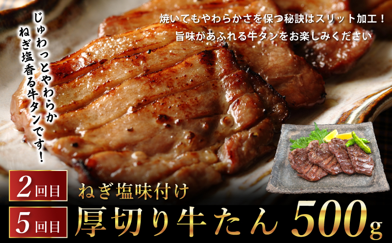 桜文 お楽しみ 定期便 全6回（焼き鳥／牛タン／黒毛和牛入り BIGハンバーグ）【毎月配送コース】 G1061