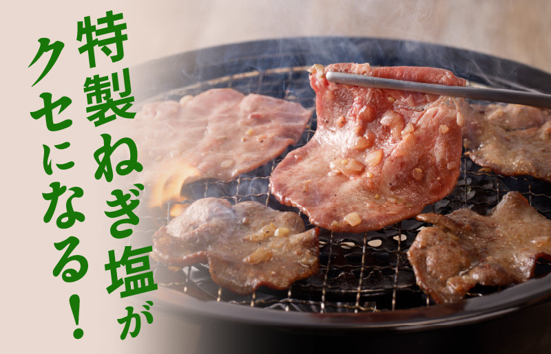 大人気 ファミリー向け 焼肉セット 牛たん 牛ハラミ肉 総量1.38kg G1161