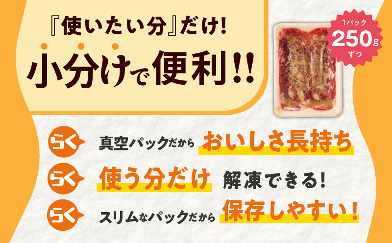 ねぎ塩 牛たん（成型）合計 1kg 小分け 250g×4【牛タン 牛肉 焼肉用 薄切り 訳あり サイズ不揃い】 099H2977