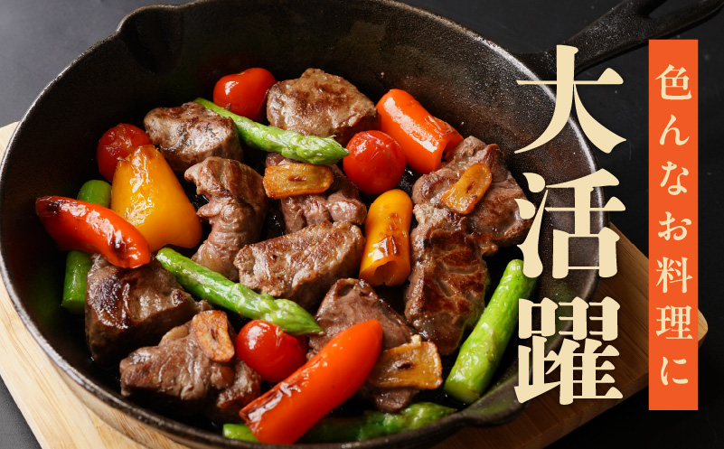 【特別寄附金額】やわらか牛ヒレ肉 1kg 小分け 500g×2P【氷温熟成×特製ダレ 切り落とし 訳あり サイズ不揃い サイコロステーキ 一口サイズにカット】 mrz0038