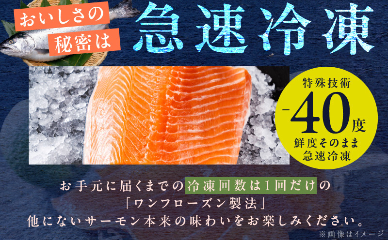 【北国からの贈り物】アトランティック サーモン 200g お試し 小分けパック 刺身 海鮮丼 カルパッチョ ムニエル G1066