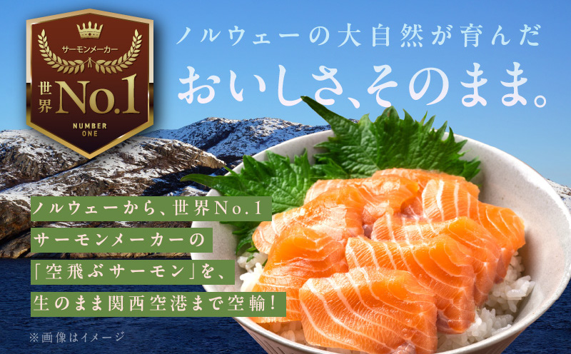 【北国からの贈り物】アトランティック サーモン 400g 小分け 200g×2パック 刺身 海鮮丼 カルパッチョ ムニエル G1067