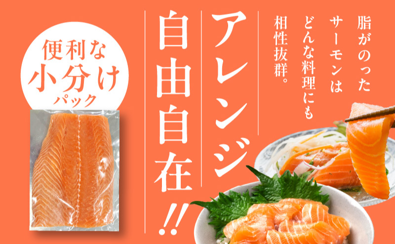 【北国からの贈り物】アトランティック サーモン 400g 小分け 200g×2パック 刺身 海鮮丼 カルパッチョ ムニエル G1067