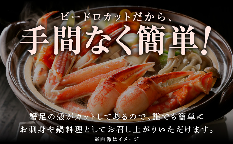 【北国からの贈り物】本ズワイ 1kg前後 3-4L ビードロカット 蟹酢付 約 4-6人前 昆布塩加工 ポーション しゃぶしゃぶ 刺身 かに カニ 脚 紅ズワイ蟹 紅ずわい蟹 海鮮 G1075