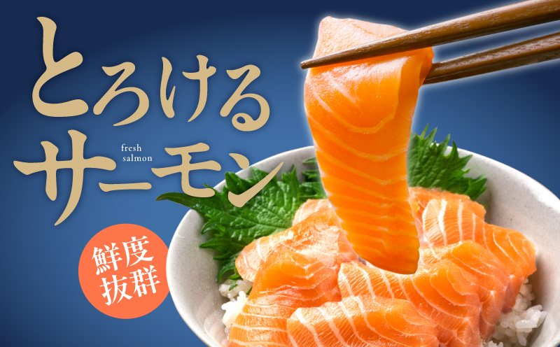 【北国からの贈り物】ズワイガニ足 1kg 3-4Lサイズ 蟹酢付 昆布塩加工 ＆ アトランティックサーモン 200g 海鮮食べ比べセット G1076