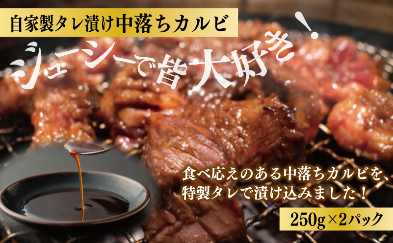 焼肉問屋いちよし 店主厳選 人気焼肉 定期便 全3回【毎月配送コース】 G1373