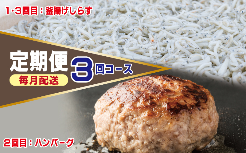 店主セレクト ハンバーグ／しらす 食べ比べ 定期便 全3回【毎月配送コース】 G1245