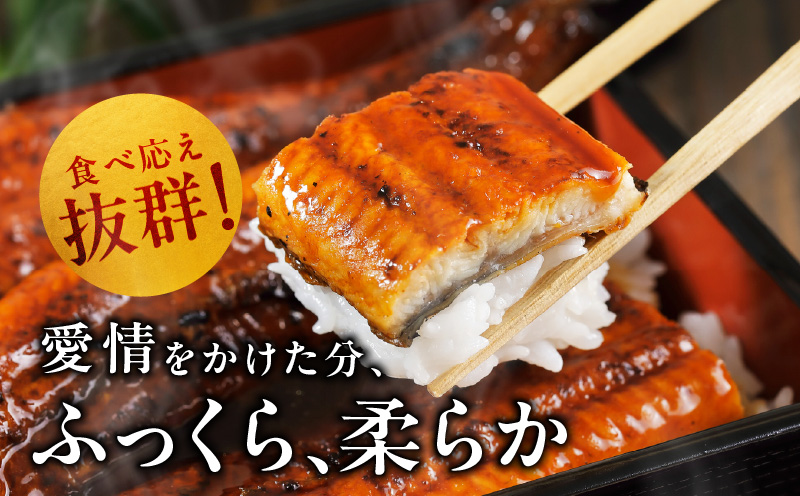 【数量限定】国産うなぎ 2尾 320g以上 大サイズ【えびす鰻 うなぎ ウナギ 国産 泉佐野産 1尾160g以上 蒲焼き かばやき 冷凍 うな重 ひつまぶし 惣菜 先行予約】 G1258