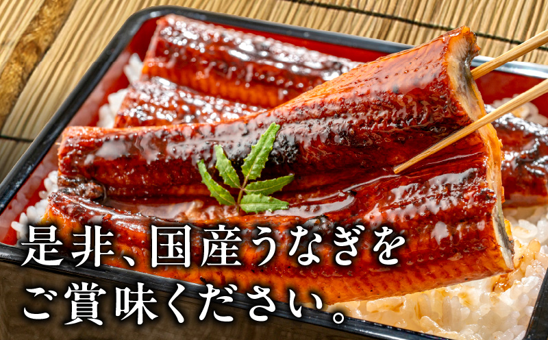 えびす鰻 2尾 320g以上(1尾160g以上) 国産うなぎ G1258