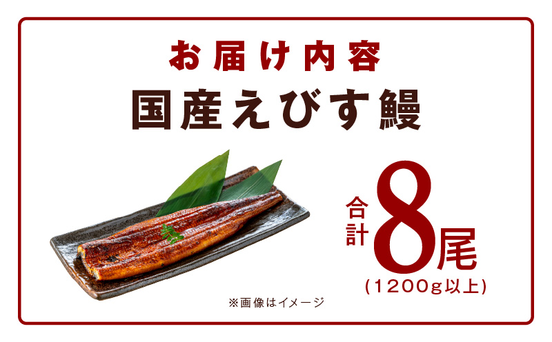 えびす鰻 8尾 1200g以上 訳あり サイズ不揃い 国産うなぎ G1262