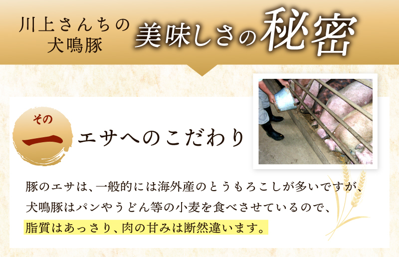 【泉佐野ブランド豚】犬鳴ポーク 8種 食べ比べセット（切り落とし／うで／ロース／豚丼／味噌鍋／餃子／コロッケ／肉団子） 020C359