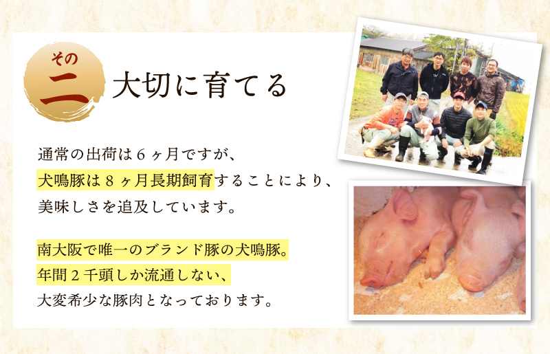 【泉佐野ブランド豚】犬鳴ポーク 8種 食べ比べセット（切り落とし／うで／ロース／豚丼／味噌鍋／餃子／コロッケ／肉団子） 020C359