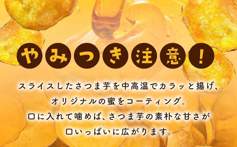 さのやチップス（プレーン味）140g×2パック 芋匠さのや 人気メニュー