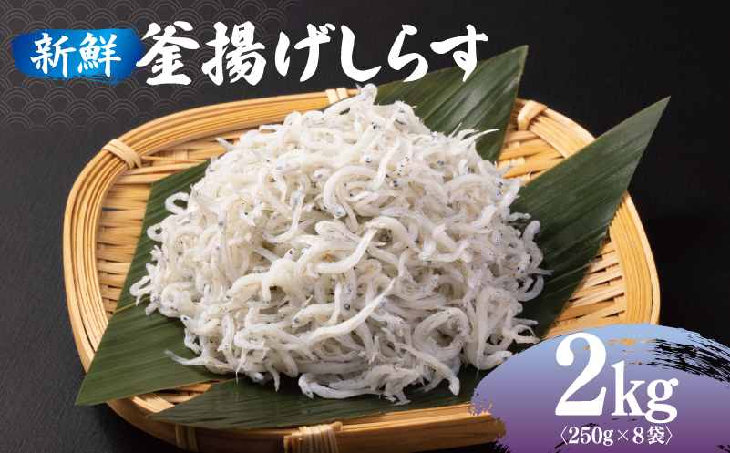 新鮮 釜揚げしらす 合計 2kg 小分け 250g×8P 020C361