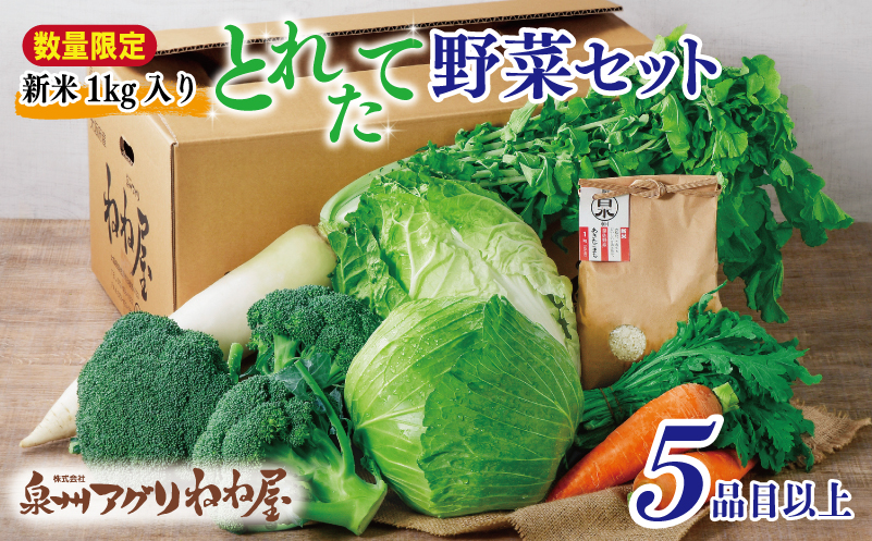 【数量限定】【新米1kg入り】ねね屋の採れたて野菜セット 5品目以上 詰め合わせ 期間限定 010B1476