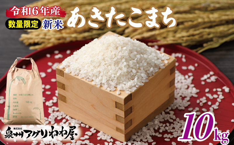 【数量限定】令和6年産 ねね屋の新米 『あきたこまち』 10kg 泉佐野産 白米 お米 099H3017