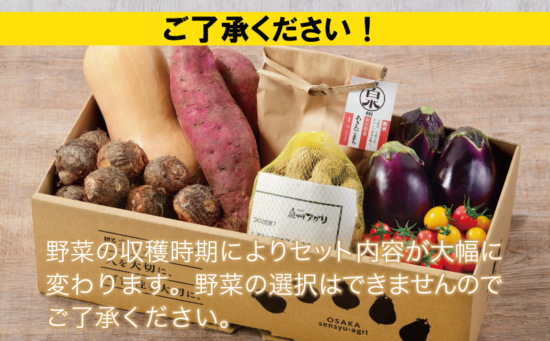 【数量限定】【新米1kg入り】ねね屋の採れたて野菜セット 7品目以上 詰め合わせ 期間限定 099H3018