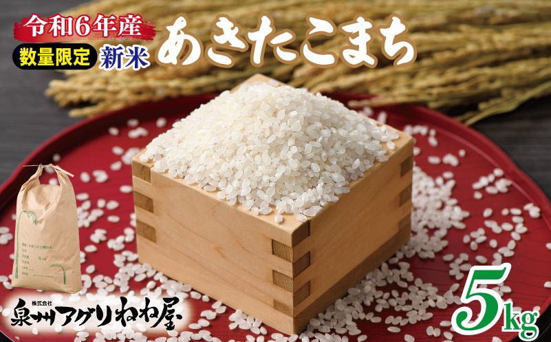 【数量限定】令和6年産 ねね屋の新米 『あきたこまち』 5kg 泉佐野産 白米 お米 099H3019