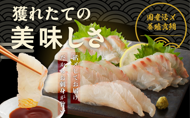 泉佐野セレクト 海鮮定期便 全4回 サーモン 天然まぐろ かつお 真鯛【毎月配送コース】