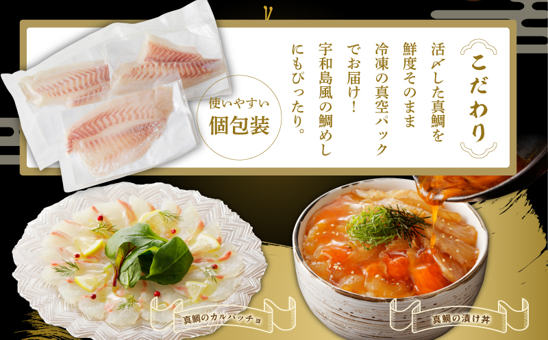 泉佐野セレクト 海鮮定期便 全4回 サーモン 天然まぐろ かつお 真鯛【毎月配送コース】