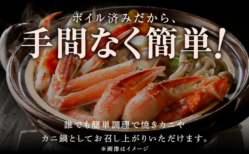 【無地熨斗】ズワイガニ足 1kg前後  約2-3人前 蟹酢付き 昆布塩加工 ボイル かに カニ ズワイガニ 脚 北国からの贈り物 G1072-1