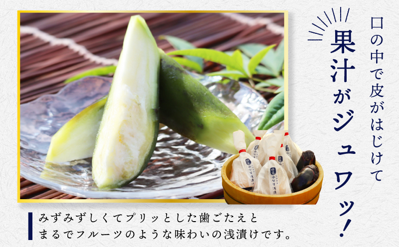 【先行予約】「特選最上級品」天然素材 水なす浅漬け 8個【新鮮 野菜 泉佐野産 茄子 やさい 高評価 数量限定】