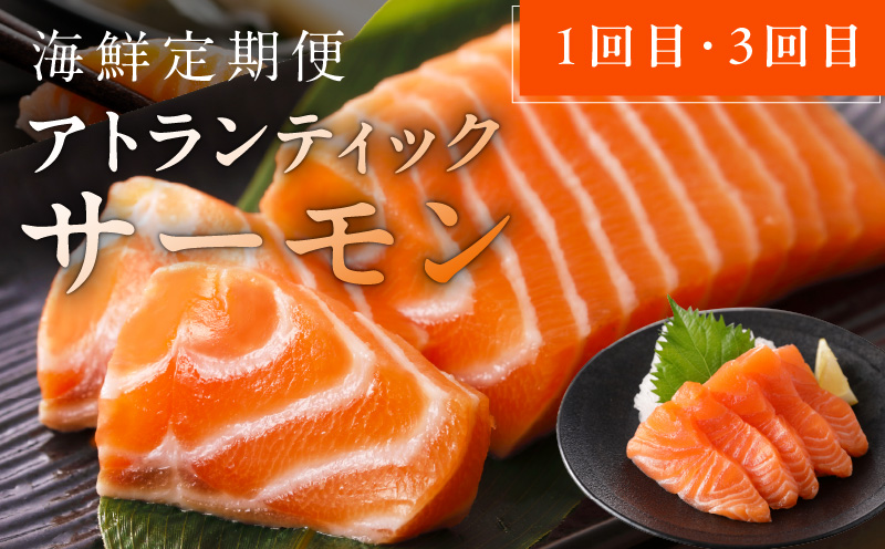 人気海鮮定期便 サーモン／真鯛 食べ比べ 全4回【毎月配送コース 小分け 訳あり サイズ不揃い 刺身 海鮮丼 人気 オススメ 冷凍】】