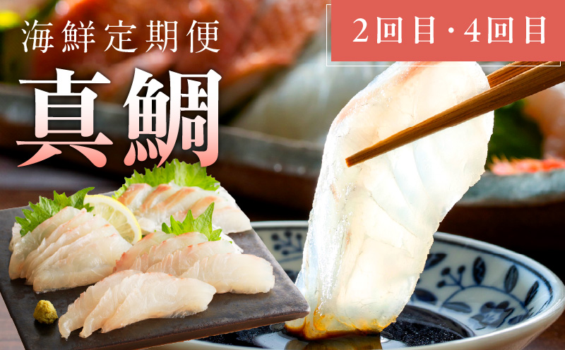 人気海鮮定期便 サーモン／真鯛 食べ比べ 全4回【毎月配送コース 小分け 訳あり サイズ不揃い 刺身 海鮮丼 人気 オススメ 冷凍】】